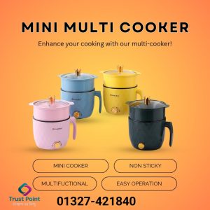 Mini multifunctional rice cooker