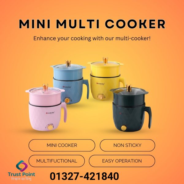 Mini multifunctional rice cooker